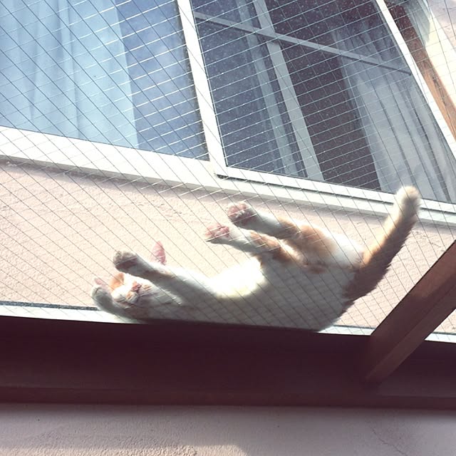 minanさんの実例写真