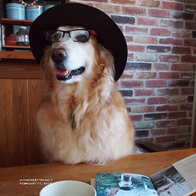 taac.acoさんの実例写真