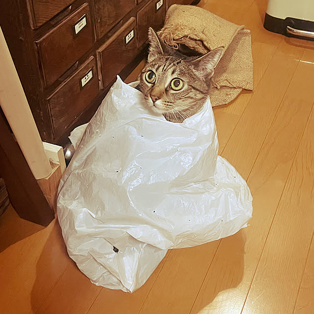 Mさんの実例写真