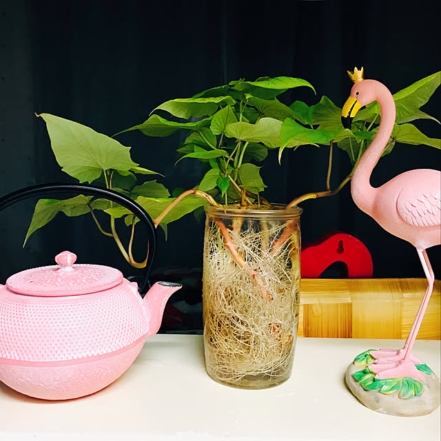 雑貨/IKEA/キッチンのインテリア実例 - 2019-10-02 01:38:20