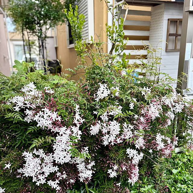 asako.10さんの部屋