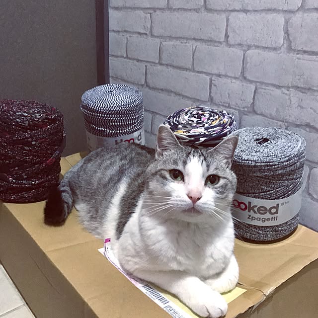 emmyyさんの実例写真