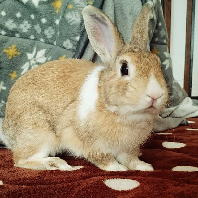 emiさんの実例写真
