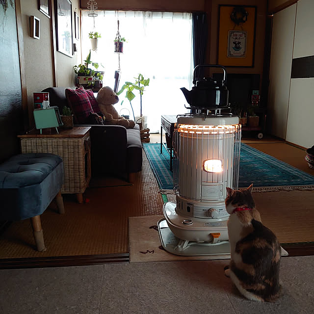 fukuさんの実例写真