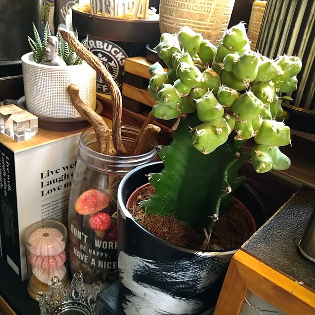 2menmamaさんの実例写真