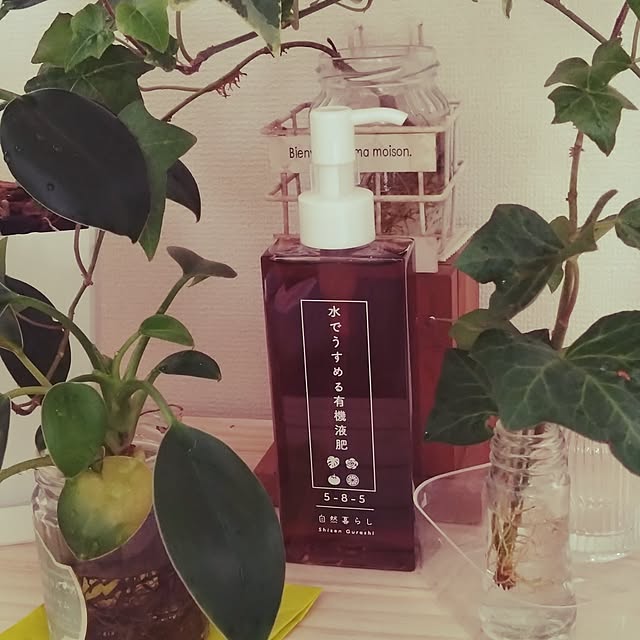 sumomoさんの実例写真