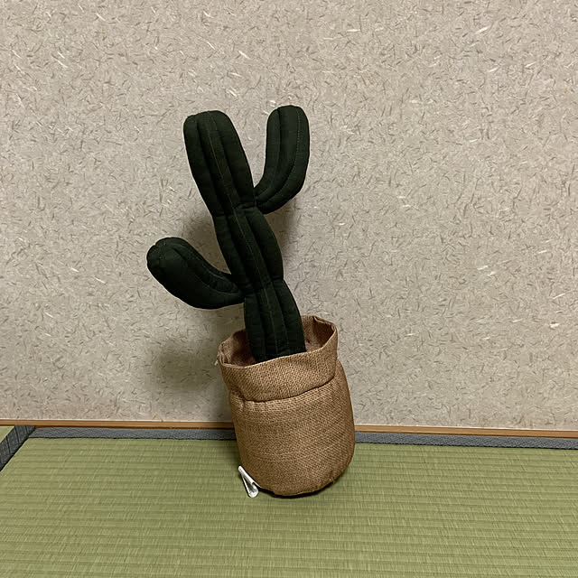 surarinさんの実例写真