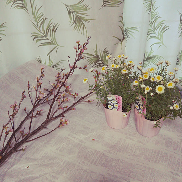 sakura_tukiyo_shさんの実例写真