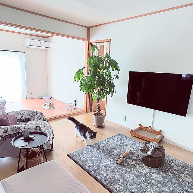 +CHIHARU+さんの実例写真