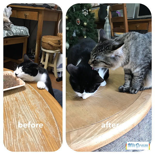 kazaneさんの実例写真