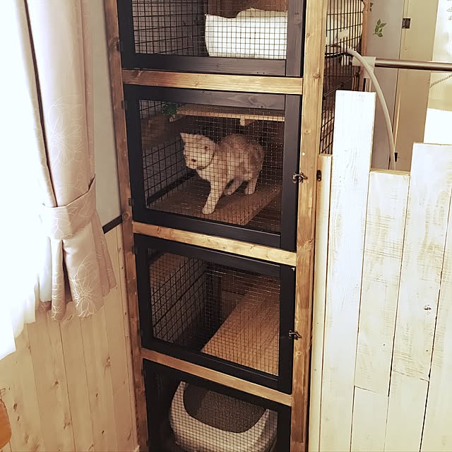 bambi_eyeさんの実例写真