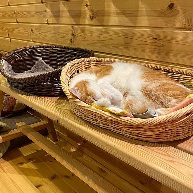 senbei.sakuramochiさんの実例写真