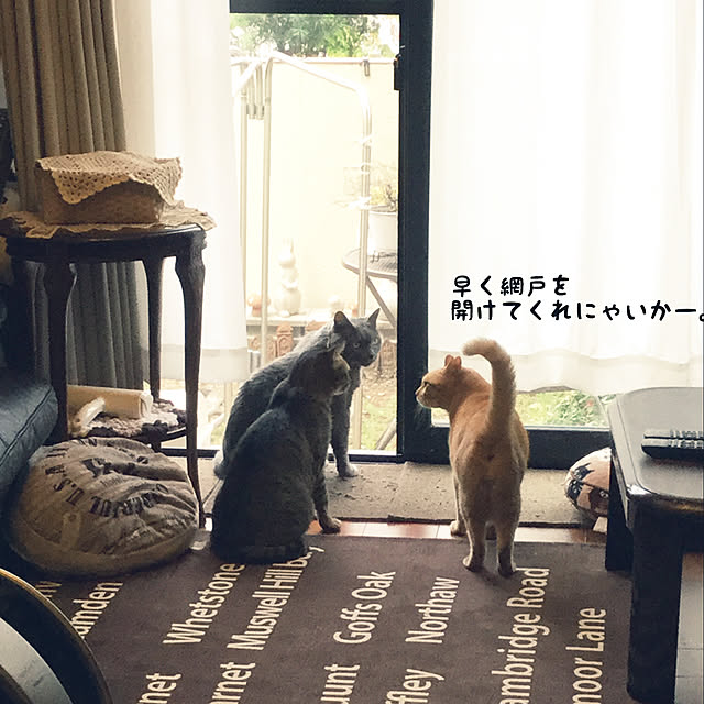 chikaさんの実例写真