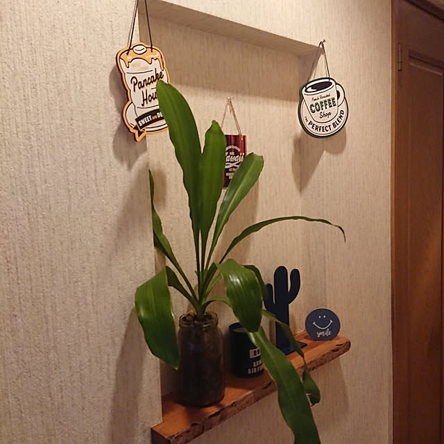 kasutera4444さんの実例写真