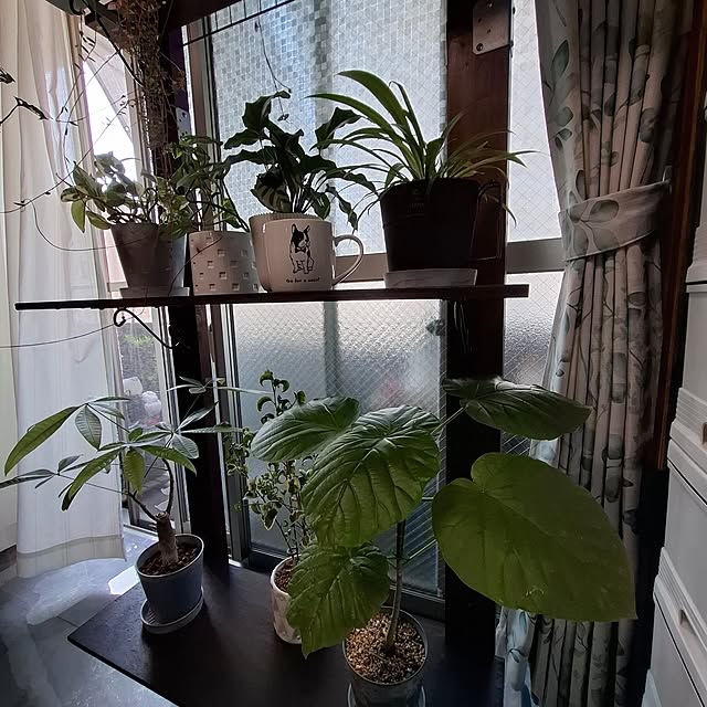 noaさんの部屋