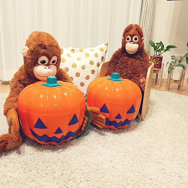 happy_kakakaさんの実例写真