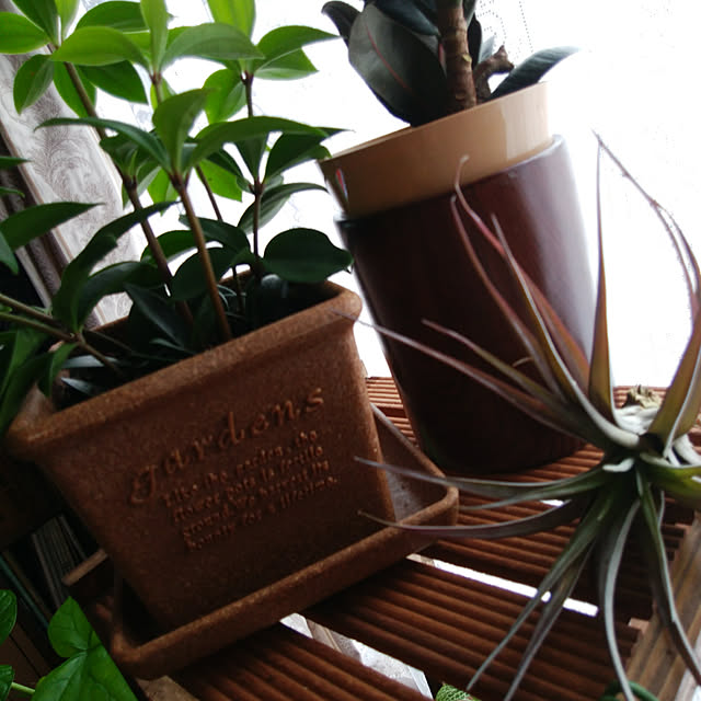 Brown.Lifeさんの実例写真