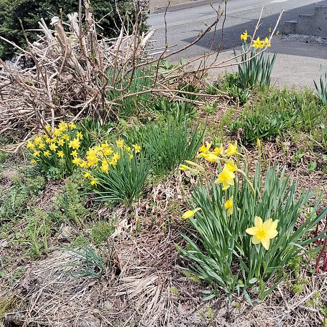 aoinokimiさんの部屋