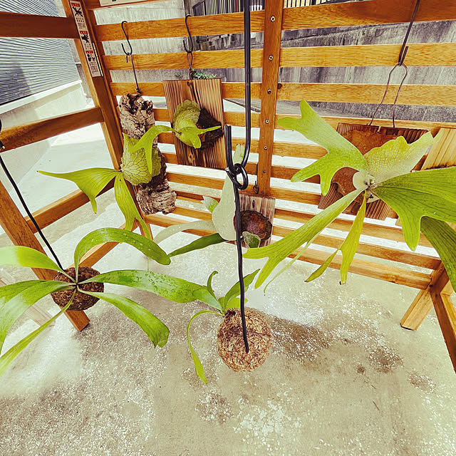 19pyonさんの部屋