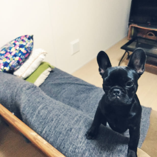 nicomaruさんの実例写真