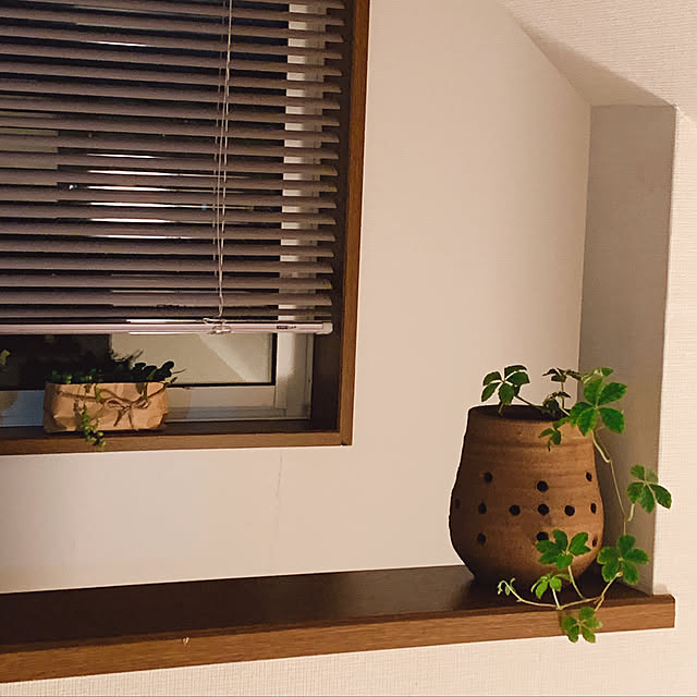 2bunno1koさんの実例写真