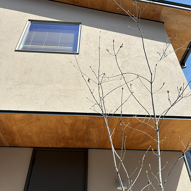 MIKIさんの実例写真