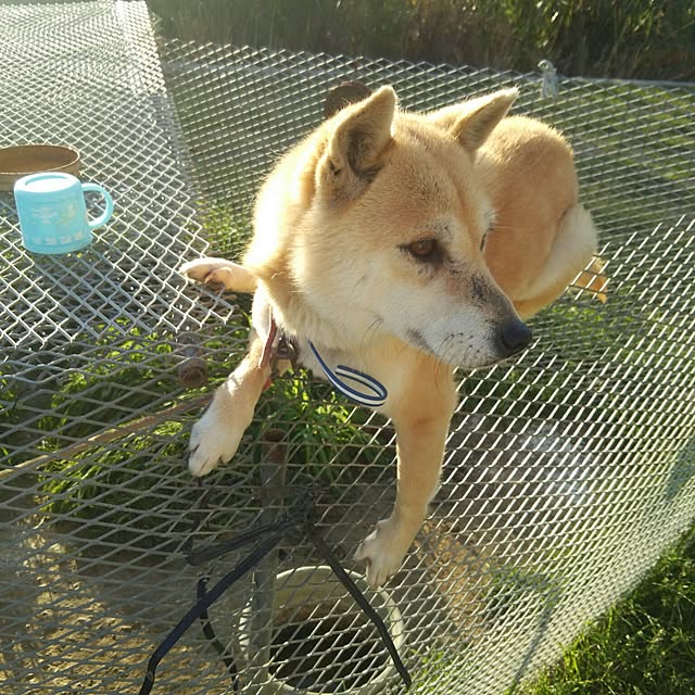 ricoさんの実例写真
