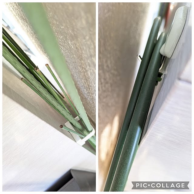 mi-saさんの部屋