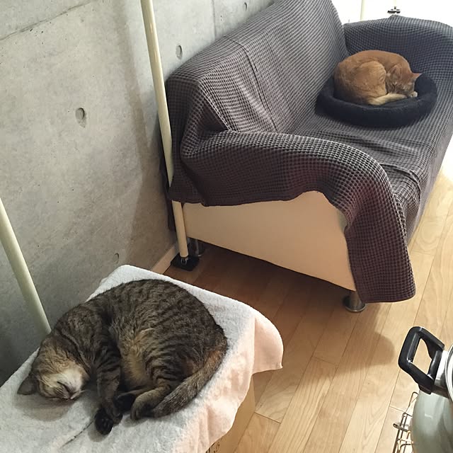 AkiOgawaさんの実例写真