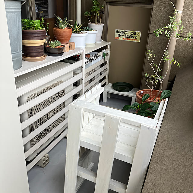 koshiregutyoさんの部屋