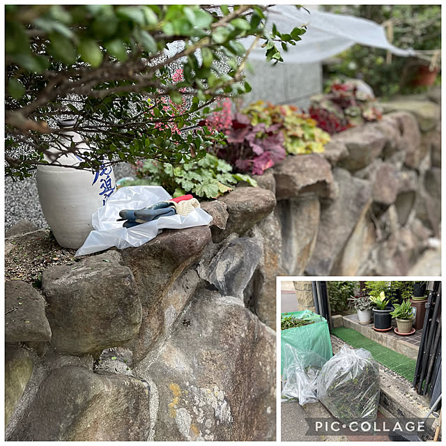 buchiさんの実例写真