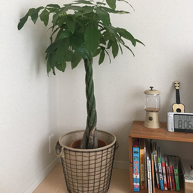 riiさんの実例写真