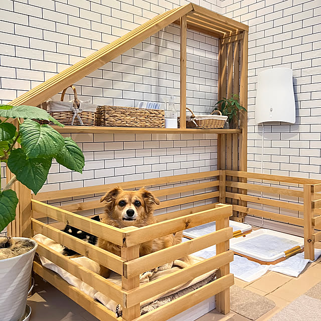 yumimaruさんの実例写真