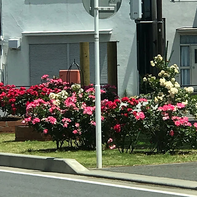 AKANEさんの実例写真
