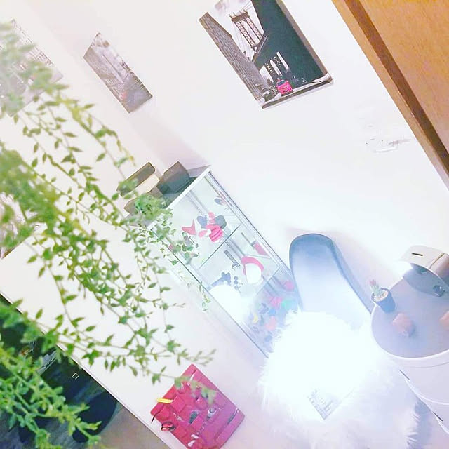Mr.Lonelyさんの実例写真