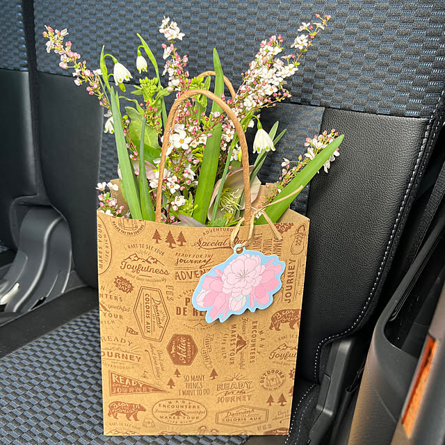 cotaさんの部屋