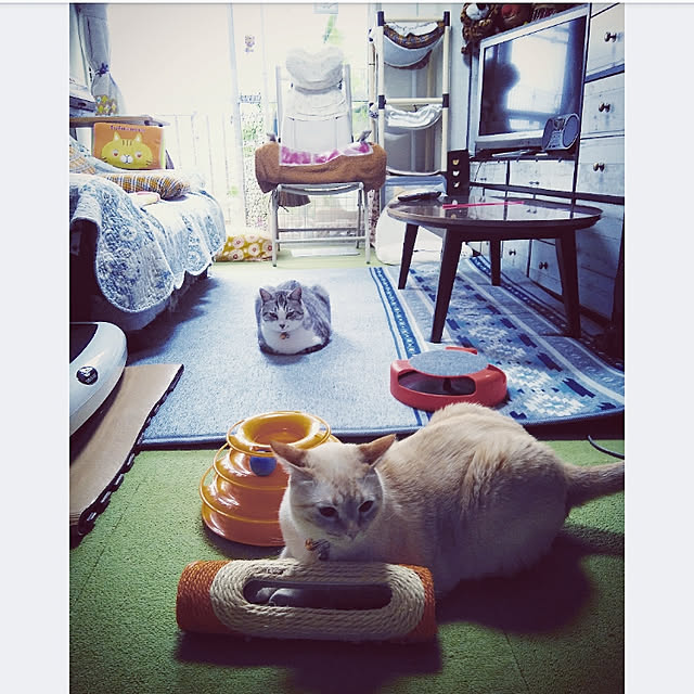 mntcさんの実例写真