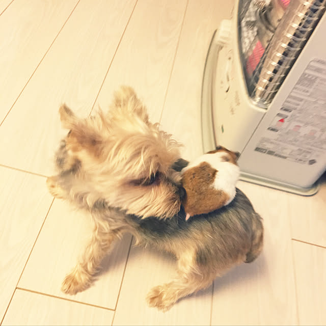 ohanaさんの実例写真