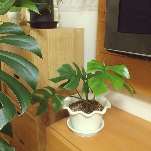 yukaさんの実例写真