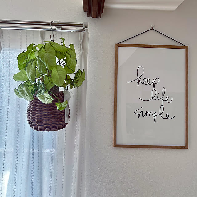 Hiraさんの実例写真