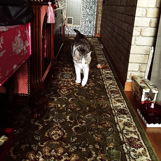 emmyyさんの実例写真