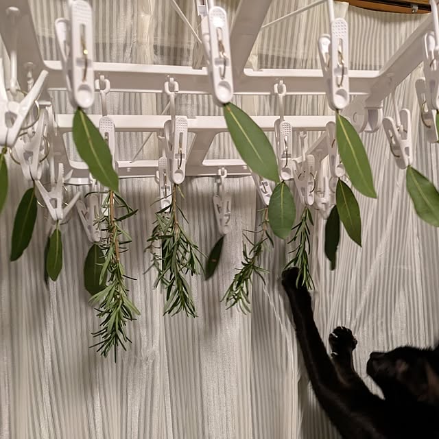 asaさんの部屋