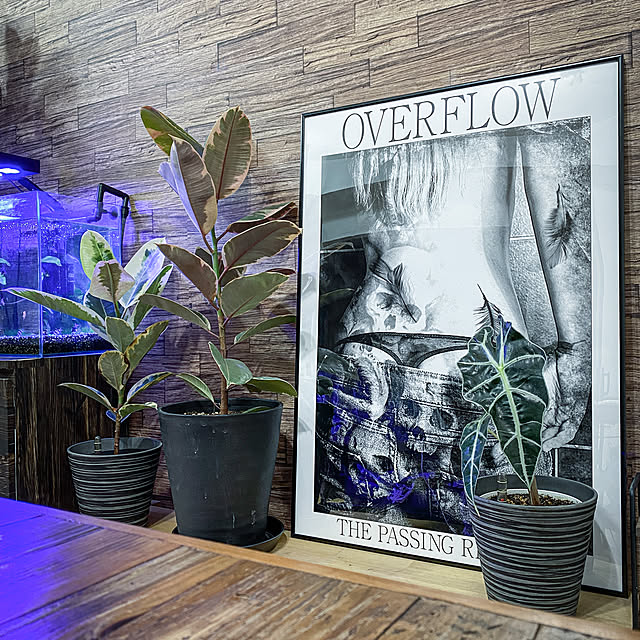 efpi_Interior_posterさんの実例写真