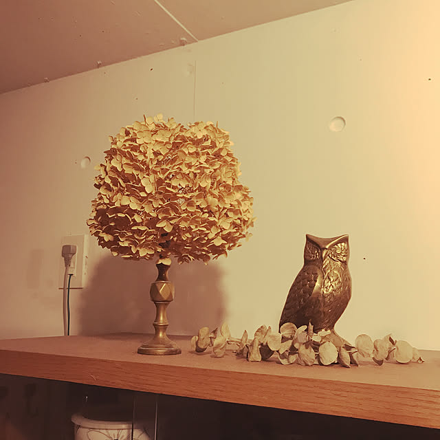 falconさんの実例写真