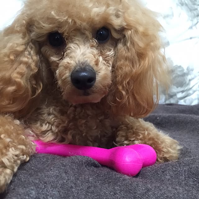 natulove0418さんの実例写真