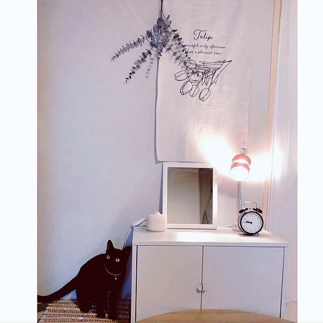 nekomiさんの実例写真