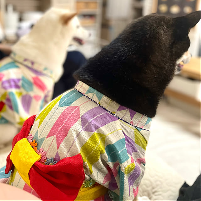 mo-nosukeさんの部屋