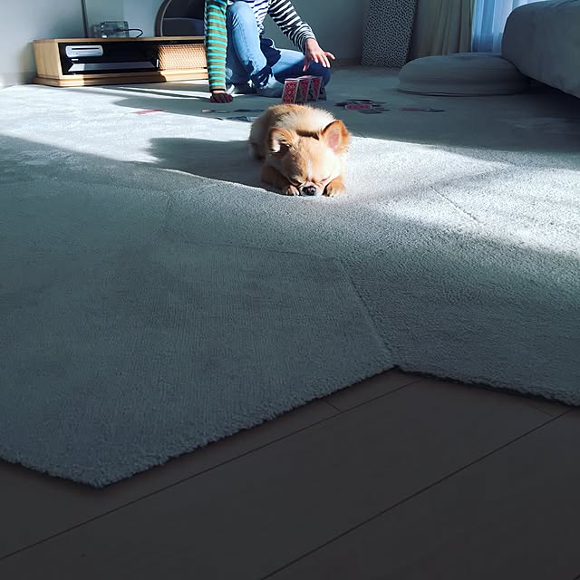 haruhinaさんの実例写真