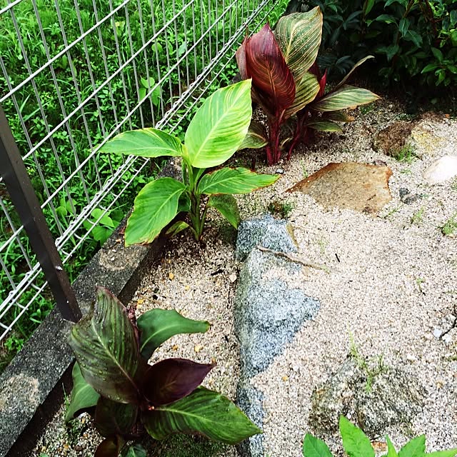 実例写真