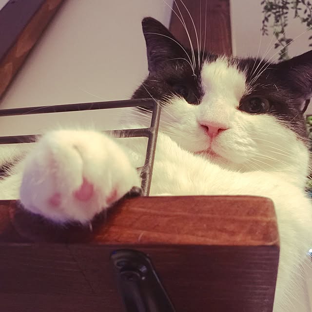 neuruさんの実例写真